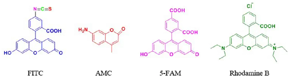 Peptide Peptide