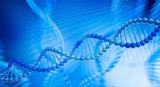 Peptides; Definition; Classification; Applications Peptides; Definition; Classification; Applications