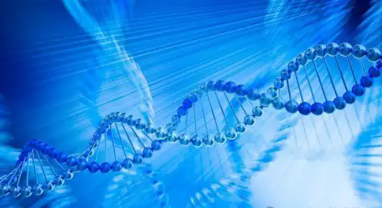 Peptide services, peptide manufacturers, peptide direct sales Peptide services, peptide manufacturers, peptide direct sales