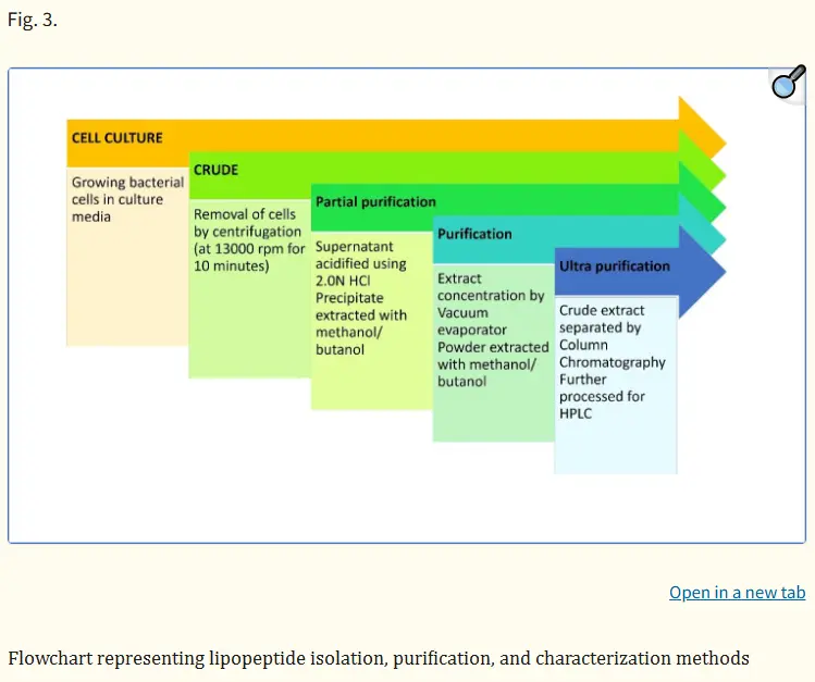 Lipopeptide Lipopeptide